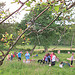 Bee Event