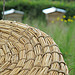 Bee Event