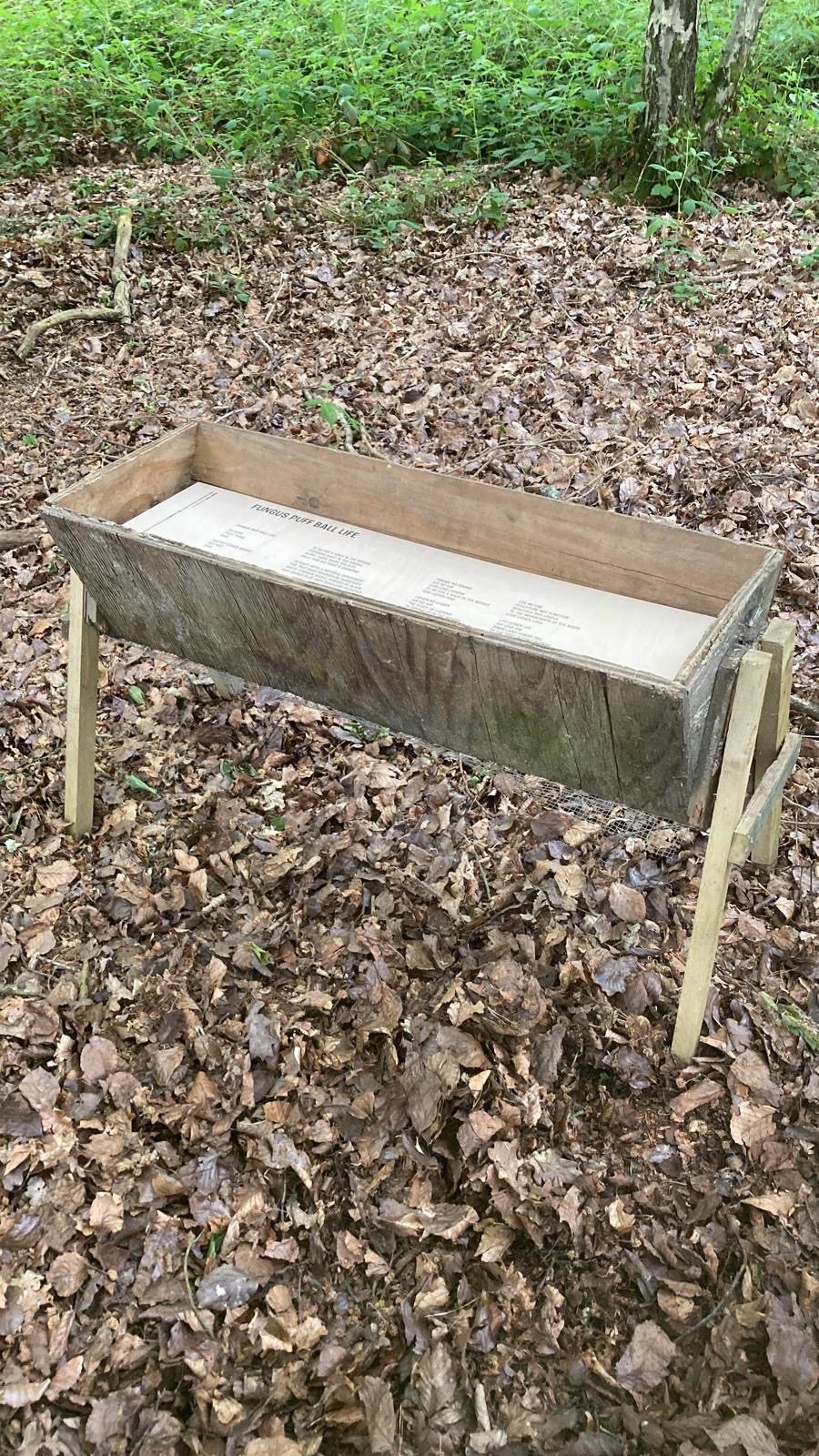 21694ea1-5333-46a7-af0f-684ea348a568