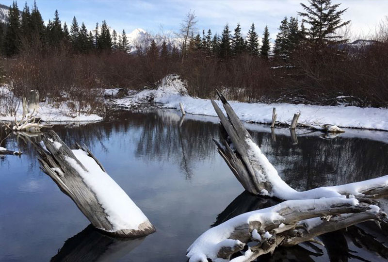 Mountain & Wilderness Intensive Writing Residency