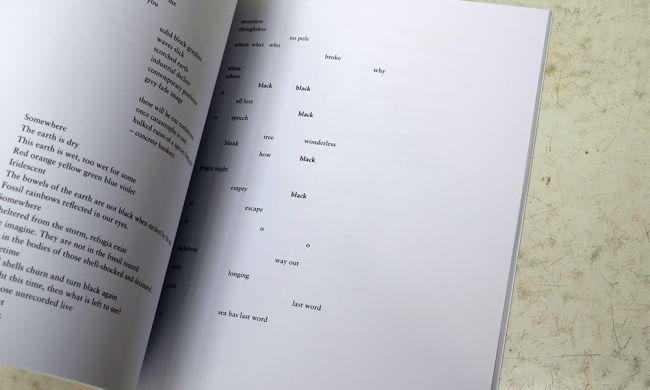 IMG_8514_0005_Layer-4