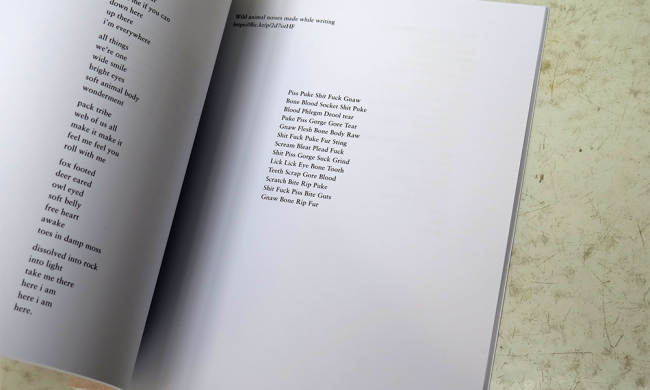 IMG_8514_0006_Layer-3