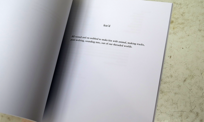 IMG_8514_0007_Layer-2