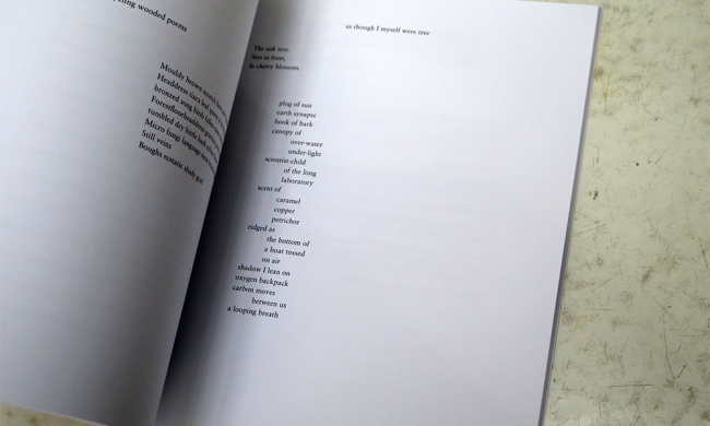 IMG_8514_0008_Layer-1