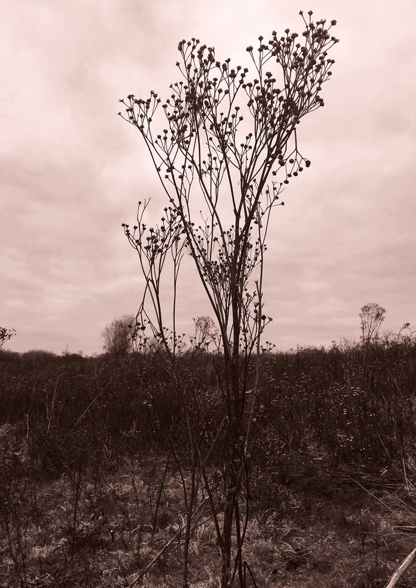 changingeverything_01