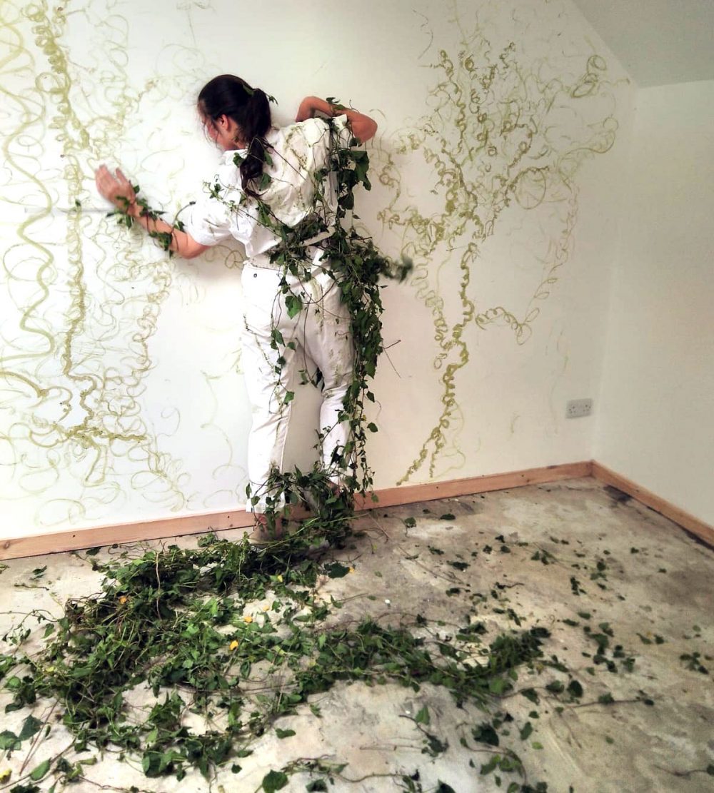 invasive_3951_48331572186_o_01