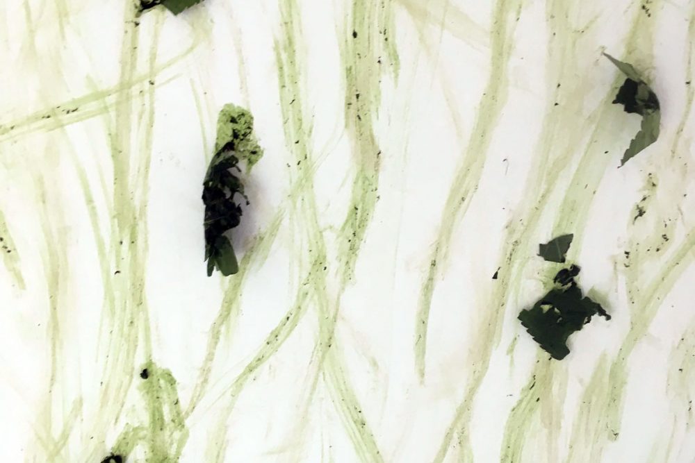 invasive_3972_48331433696_o_02