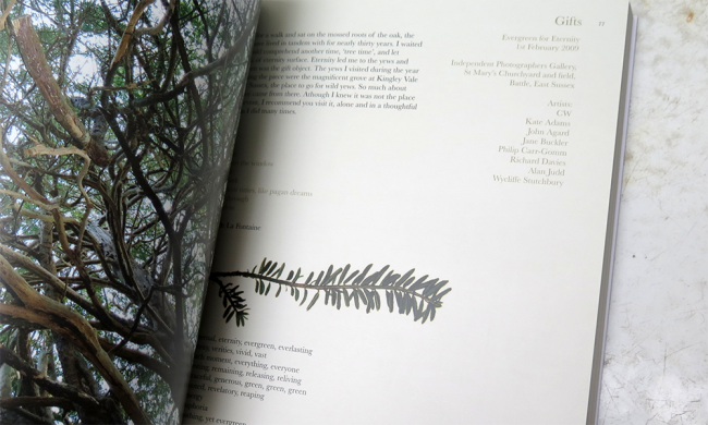 set2_layered_01_0006_Layer-23