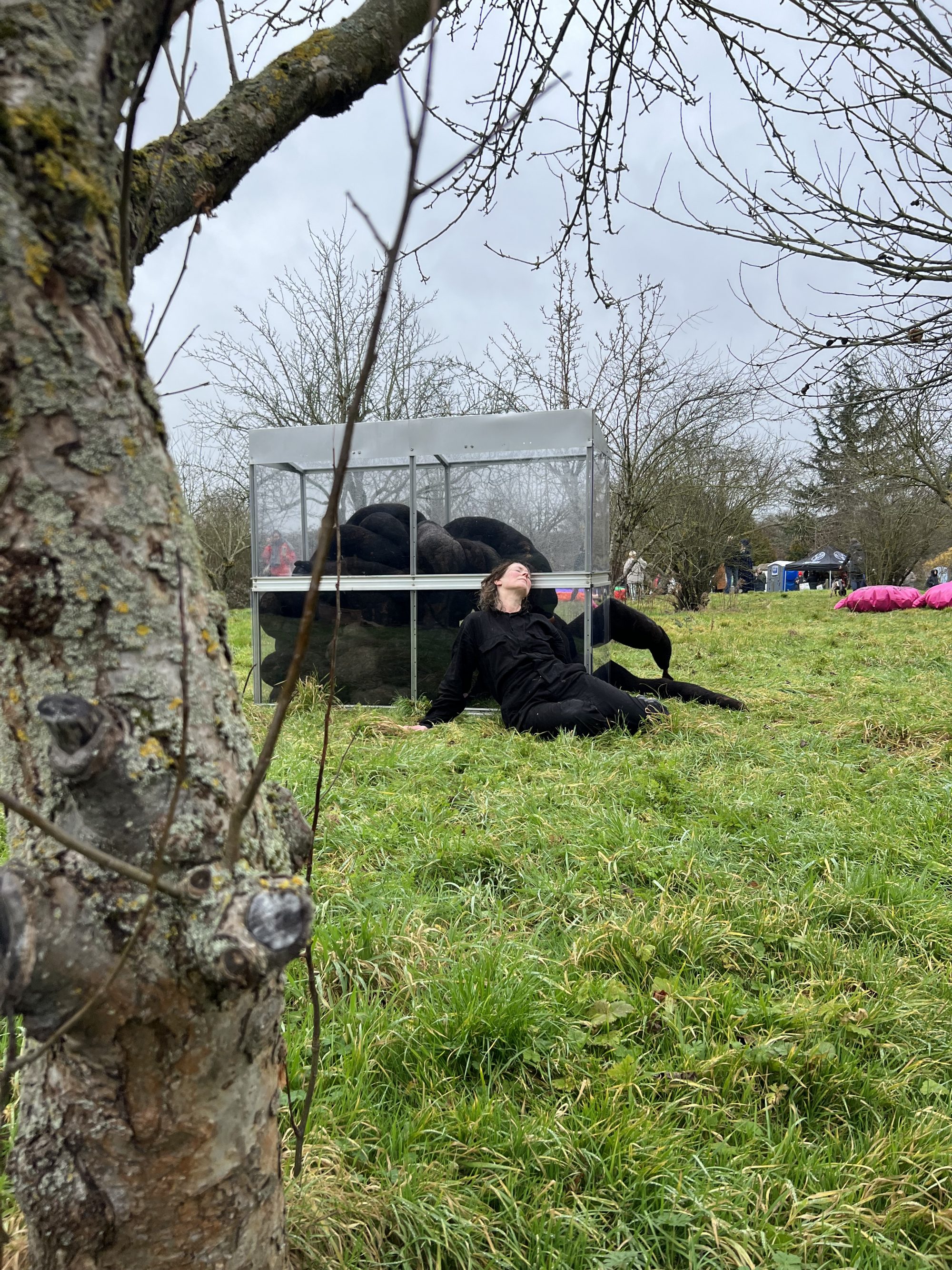 Bexley Winter Sculpture park IMG_5529