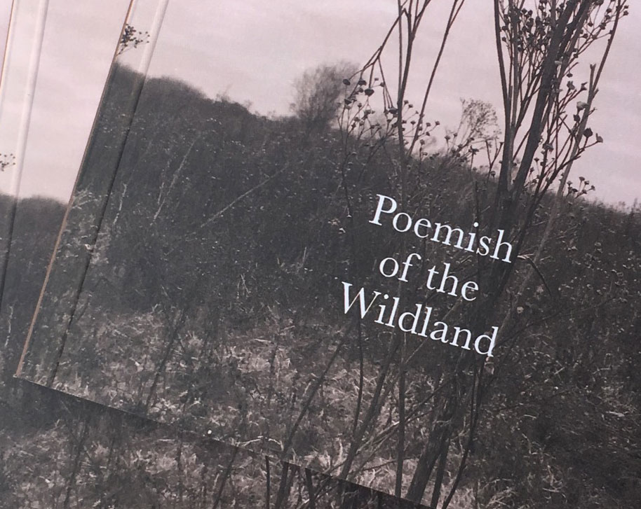 Elephant: A small press