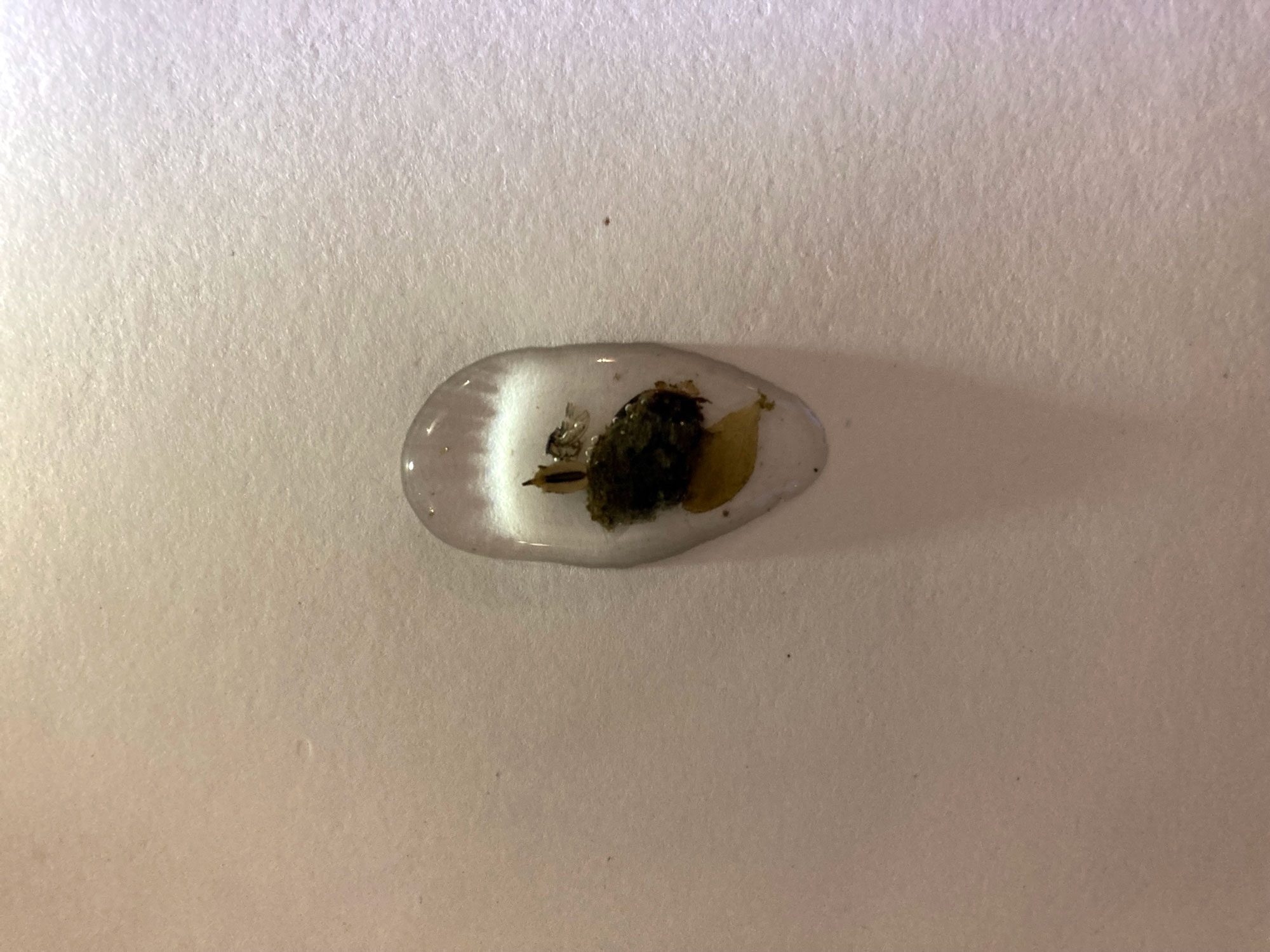 Waterdrop_IMG_2356_2000px