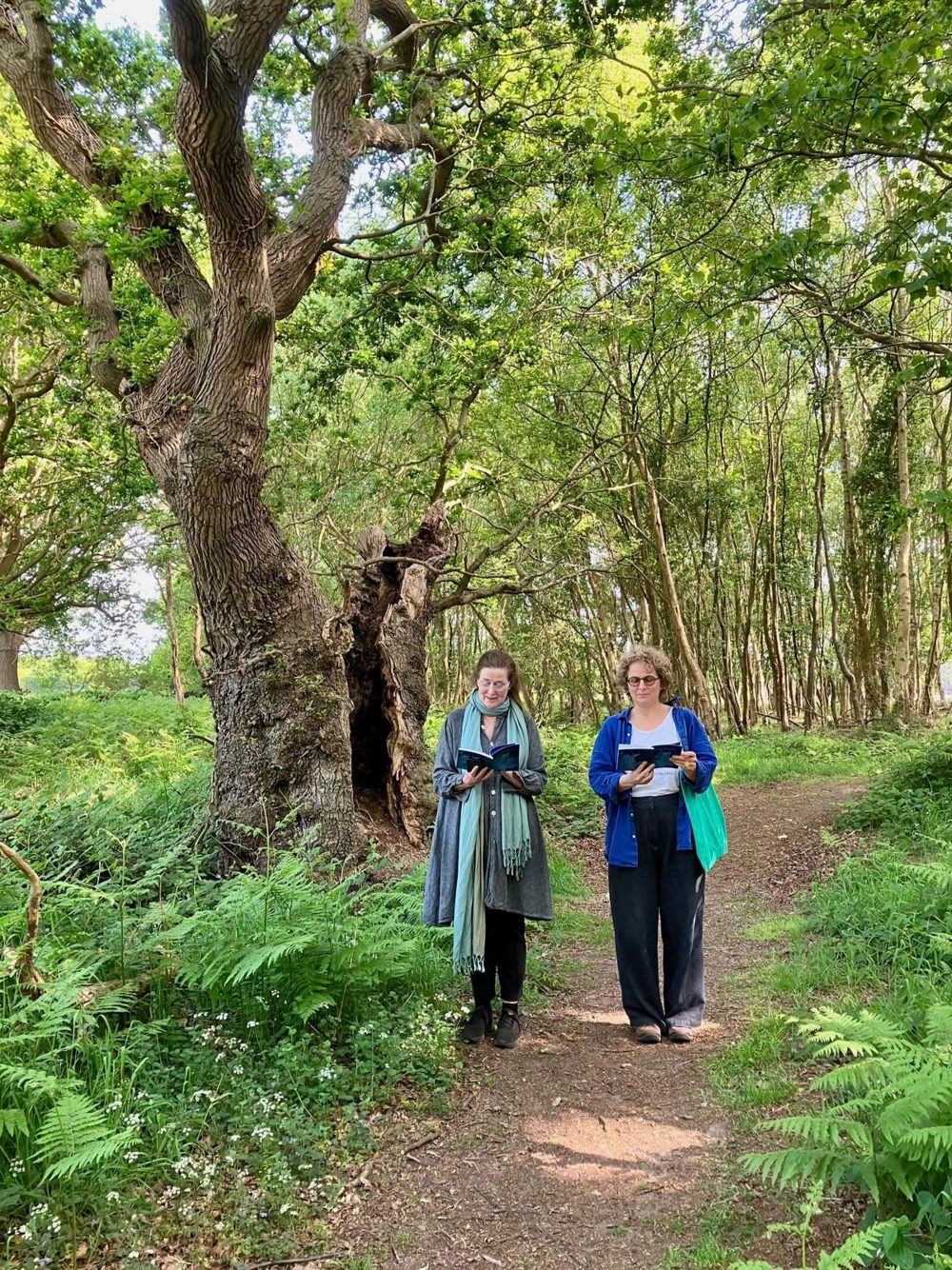 c77832c0-a3ec-4d86-a235-c323aa3d67df_2000px