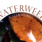 Waterweek 2020